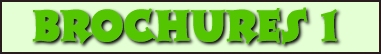 Brochures & Flyers 1